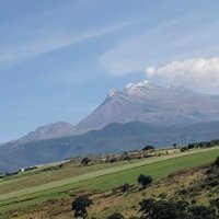 JC Fernando Martinez (@fernand74739919) 's Twitter Profile