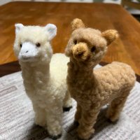 ゆずまん (@yuzuman59) / X