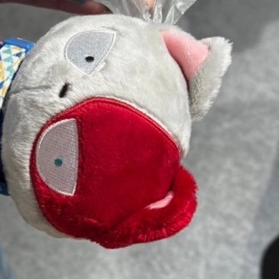 わこさんのプロフィール画像