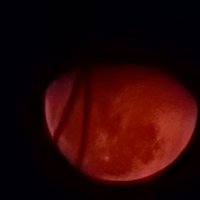 احمد (@a7mad007777) 's Twitter Profile