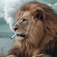 yusuf ulusoy (@ulusoy35802) Twitter profile photo