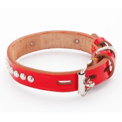 hirmintm's profile picture. ♂男です 顔は出してないです #Ｍ男です 射精管理してくださる女性、S女様と繋がりたいです なりすましや誘導目的のアカウントは来ないでください