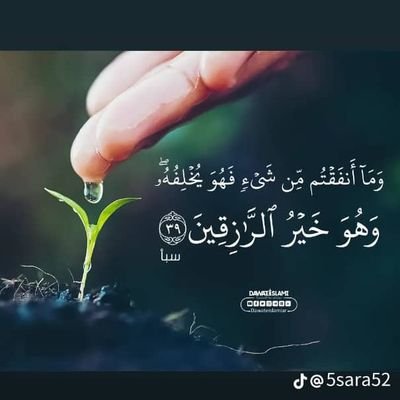 FarwqAlzbd44508's profile picture. 