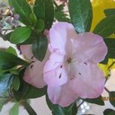 Tom Blanton - @tomblanton37350 - Twitter