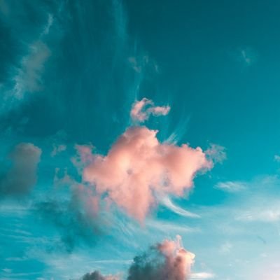 いぬかいさんのプロフィール画像