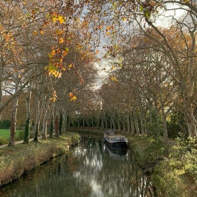 LoicNayal's profile picture. 