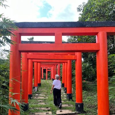 lovelagno's profile picture. 