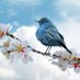 NATURE (@nature_bauty) Twitter profile photo NATURE (@nature_bauty) Twitter profile photo