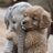 KrasKeaa10272's profile image