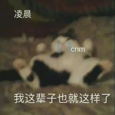 liuailin330653's profile picture. 