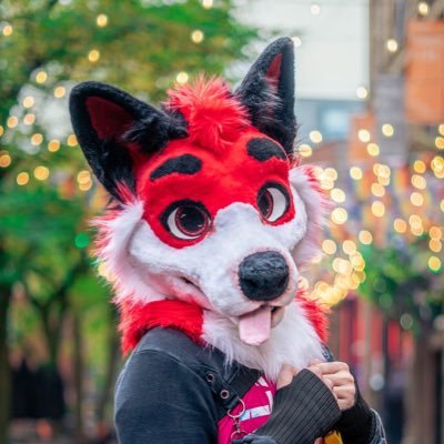 Joey Profile