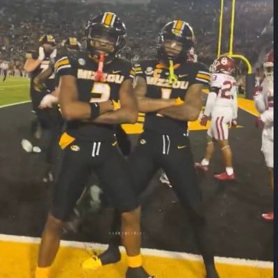 miztigers1's profile picture. #MIZ🐯 | #ForTheLou | #STLBlues | #ChiefsKingdom