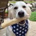 David Kneisler (@davidkneisler) Twitter profile photo David Kneisler (@davidkneisler) Twitter profile photo