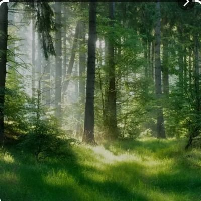 سبحان الله عدد خلقه ورضا نفسه وزنة عرشه ومداد كلماته