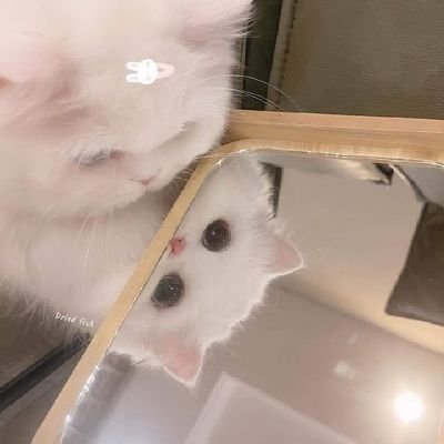 ~⁠♪さんのプロフィール画像