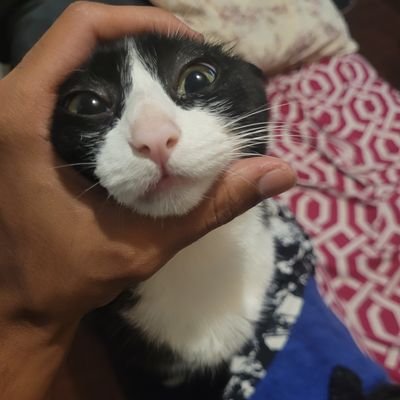 Eu nasci passando fome, vou morrer passando à vista!