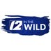 12InTheWild (@12inthewild) Twitter profile photo 12InTheWild (@12inthewild) Twitter profile photo