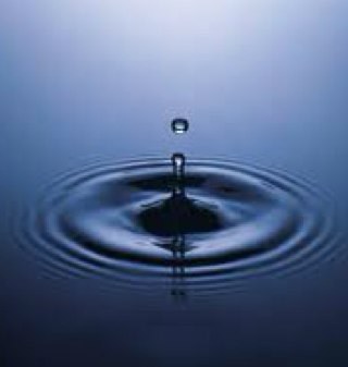 SwimFasterGtd's profile picture. Is it the key to speed that you seek? Let us review your stroke and suggest a tweak.  Don't like what you see? You are protected by our 110% guarantee.