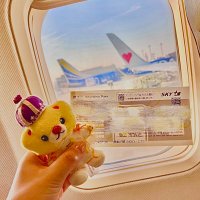 抹茶のうじ (@31_ujim) 's Twitter Profile