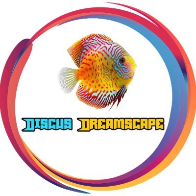 discusdreamsca1's profile picture. Nestled in the heart of Kolkata, Discus Dreamscape is a passion-driven hatchery dedicated to the breeding and nurturing of exquisite discus fish.