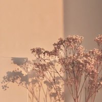 𝓝𝓸𝓾𝓯 (@noufalqahta505) 's Twitter Profile