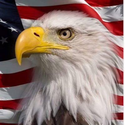 Support Voting rights - A Woman's right to choose - LGBTQ rights -Gun Reform