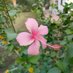 Ashok Dhaka (@dhaasoka) Twitter profile photo Ashok Dhaka (@dhaasoka) Twitter profile photo