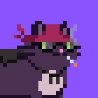 Miszzyyy_ct's profile picture. Cat town resident since July 15 2023😼🔥🔥