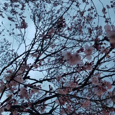 ゆきさんのプロフィール画像
