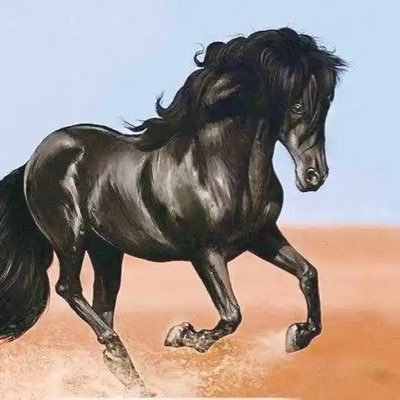 mdxwin123123's profile picture. 3344334433443344