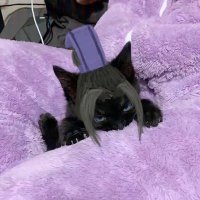 xixstff (@xixstff) 's Twitter Profile