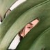 rue🌿 (@ruesavatar) Twitter profile photo rue🌿 (@ruesavatar) Twitter profile photo
