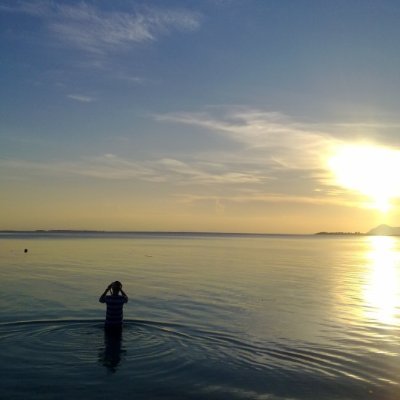 FauziOgee's profile picture. 