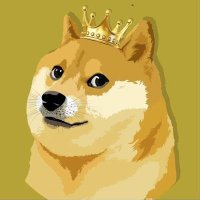 Haojie Guo (@haog95) 's Twitter Profile
