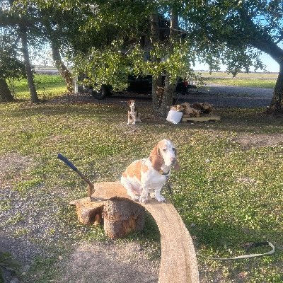 joelb39134807's profile picture. 