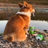 Galm (@galmardu) 's Twitter Profile