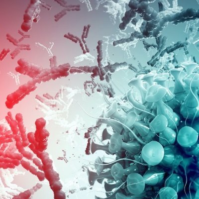 We study how antibody signaling regulates innate and adaptive immunity.