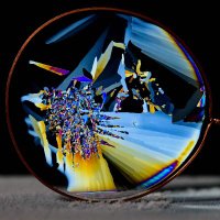 Data Parrot (@data_parrot) 's Twitter Profile Photo Data Parrot (@data_parrot) 's Twitter Profile Photo