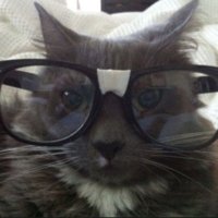 edu 📚 (@earthstudie) 's Twitter Profile Photo edu 📚 (@earthstudie) 's Twitter Profile Photo