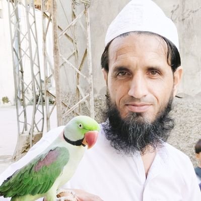 نبی کریم صلی اللہ علیہ وسلم نے فرمایا کہ مسلمان وہ ھے جس کے ھاتھ اور زبان سے دوسرے مسلمان محفوظ رھیں