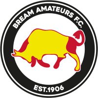 Bream Amateurs FC (@breamarmy) 's Twitter Profile