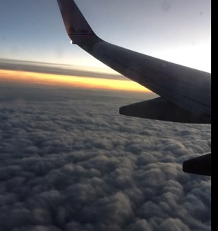 dmancaviness's profile picture. 