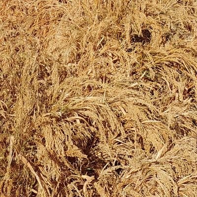 actros_ben56606's profile picture. 