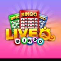 LIVE Q BINGO (@lqohapp) 's Twitter Profile