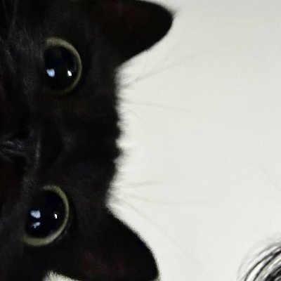 SEGDIGPE's profile picture. "La ciberseguridad no es sólo tecnología, sino también personas."  Kevin Mitnick.