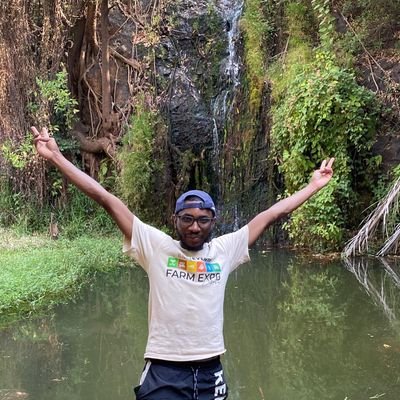 Creative • Travel Enthusiast • Tech Aficionado • Project Manager • Managing Partner @avmaraDigital