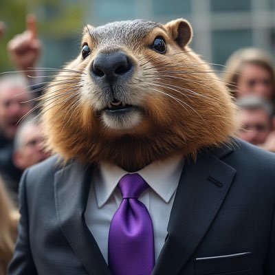 DOGE_MP's profile picture. Future Cabinet Minister of the Department of Deportations and Government Efficiencies of Canada