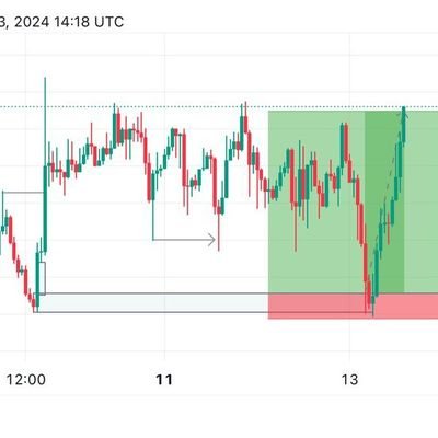 shugabafx's profile picture. 