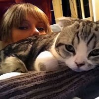 stevie⸆⸉ (@logicalstevie) 's Twitter Profile