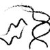 Netz Lab @ Hopkins (@labnetz) Twitter profile photo Netz Lab @ Hopkins (@labnetz) Twitter profile photo